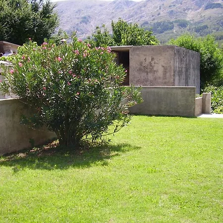 Darinka Draga Bašćanska