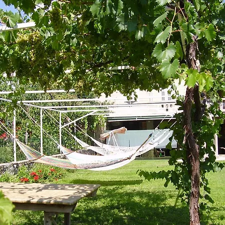 Darinka 3* Draga Bascanska