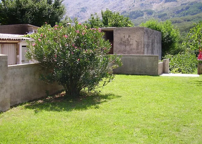 Darinka Draga Bašćanska